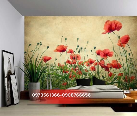 033814714b2db473ed3c